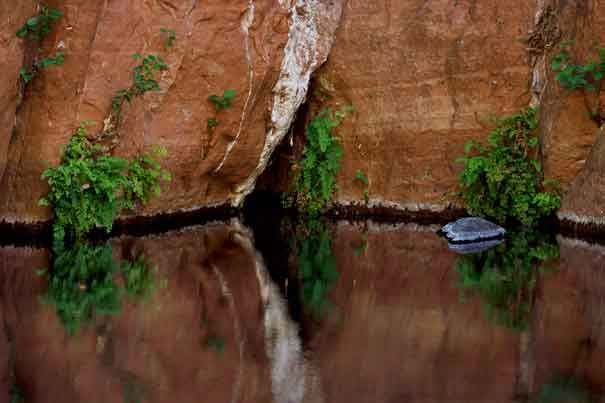 Grotto with some greenery at Wet Beaver Creek, Arizona.