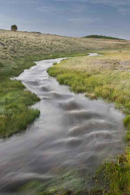 Hall Creek in the White Mts. of eastern Arizona