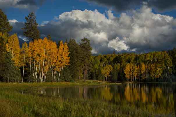 Autumn at Drift Fence Lake on the Fort Apache Reservation in the White Mts. of eastern Arizona.