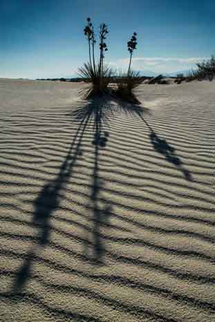 Dunes at White Sands National Monument, New Mexico
