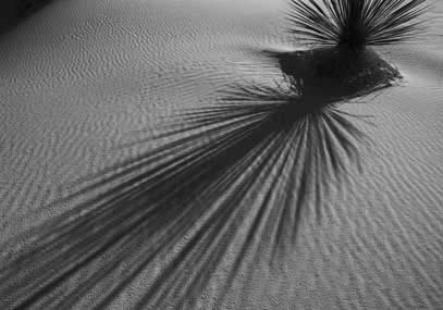 Dunes at White Sands National Monument, New Mexico