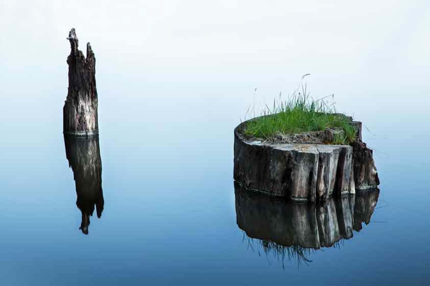 Woods Canyon Lake button