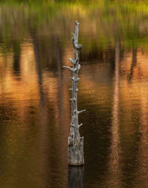 Reflections in the water at Woods Canyon Lake, Arizona